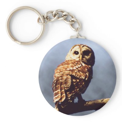 Barred Owl Keychain by natures_edge