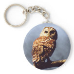 Barred Owl Keychain
