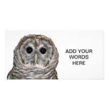 Barred Owl Photo Card Template