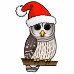 Barred Owl Santa photo sculptures