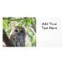 Barred Owl Staring Customized Photo Card