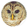 Barred Owl Round Sticker