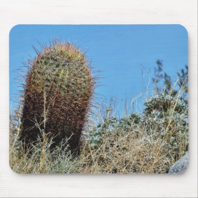 Barrel Cactus A Cactus In Anza Borrego Desert Cact Mouse Pad by lifesphere
