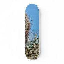 Barrel Cactus A Cactus In Anza Borrego Desert Cact Skate Board Decks