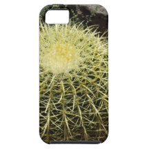 Barrel Cactus iPhone 5 Covers