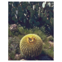 Barrel Cactus With Brothers Flyer