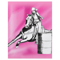 Barrel Racer 103 Custom Flyer