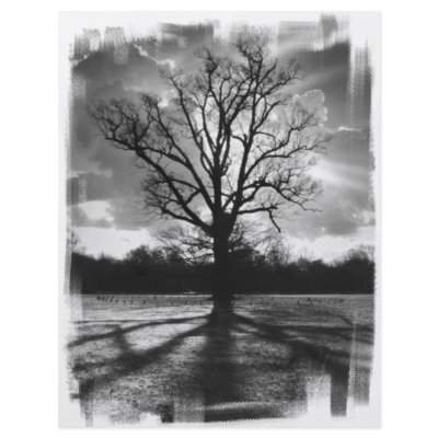 Barren Branches Tree Full Color Flyer by VoXeeD