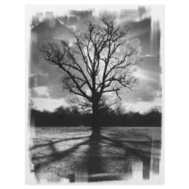 Barren Branches Tree Full Color Flyer