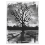 Barren Branches Tree flyers
