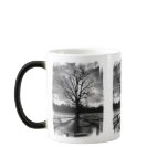 Barren Branches Tree Coffee Mugs