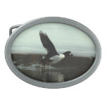 Barrow's Gold-en-eye #02 Belt Buckles