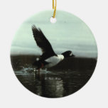 Barrow's Gold-en-eye #02 Christmas Ornament