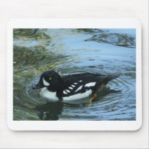 Barrows goldeneye mousepad