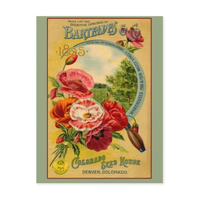 Barteldes Colorado Seed Company Art Cards Postcards by CustomizeACard