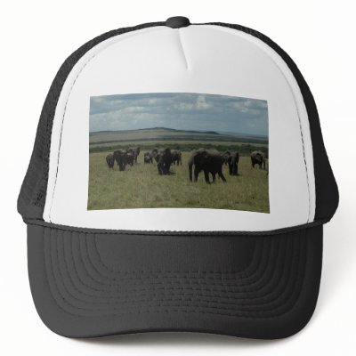 Baseball  Cap- African Wildlife Trucker Hat by sbliss53