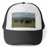 Baseball  Cap- African Wildlife hats