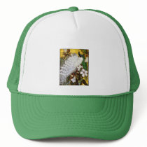 Baseball Cap: White & Blue Peacocks Mesh Hats