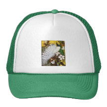 Baseball Cap: White & Blue Peacocks Mesh Hats