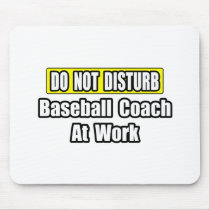 Baseball Coach At Work