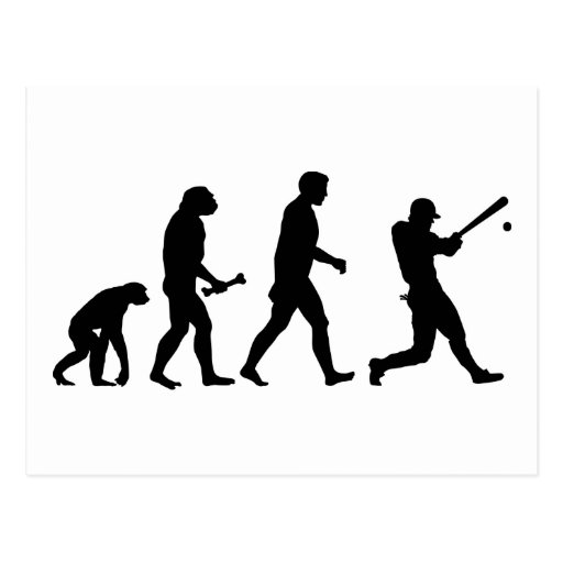 Baseball Evolution Postcard Zazzle
