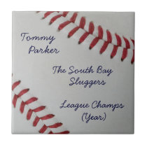 Baseball Fan-tastic pitch perfect award-style