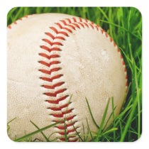 Baseball in Grass