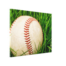 Baseball in the Summer Grass