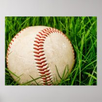 Baseball in the Summer Grass