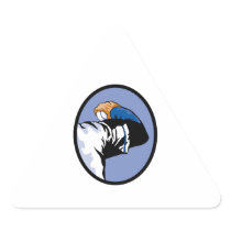 baseball throw pitcher  vector illustration triangle stickers