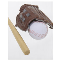 BaseballAndGlove062509 Full Color Flyer