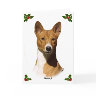Basenji 9L034D-09 by mtrafford