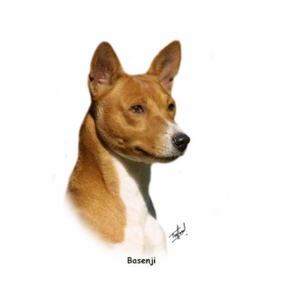 Basenji 9L034D-14 Cut Out by TraffordPhotos