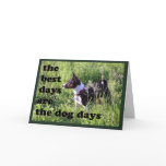 Basenji Birthday Card