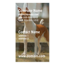 Basenji Business Cards