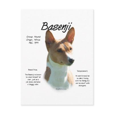 Basenji (chestnut) History Design by GreyWolfCreation
