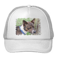 Basenji Dog Baseball Hat