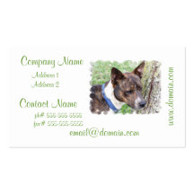 Basenji Dog Business Cards
