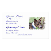 Basenji Dog Business Cards