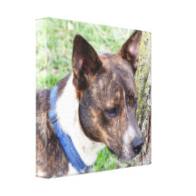 Basenji Dog Canvas Print