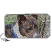 Basenji Dog Speakers