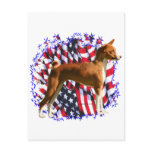 Basenji Patriot Postcard
