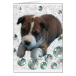 Basenji Puppy  Card