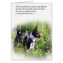 Basenji Rainbow Bridge Card