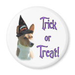 Basenji Trick Fridge Magnets
