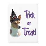 Basenji Trick Postcards