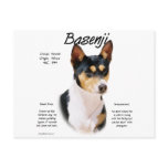 Basenji (tricolor) History Design Postcard