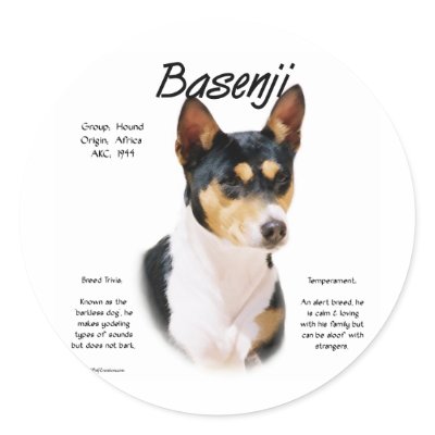 Basenji (tricolor) History Design by GreyWolfCreation