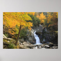 Bash Bish Falls single cascade Posters