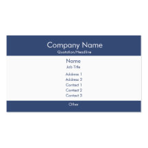 Basic Blue & White Business Cards